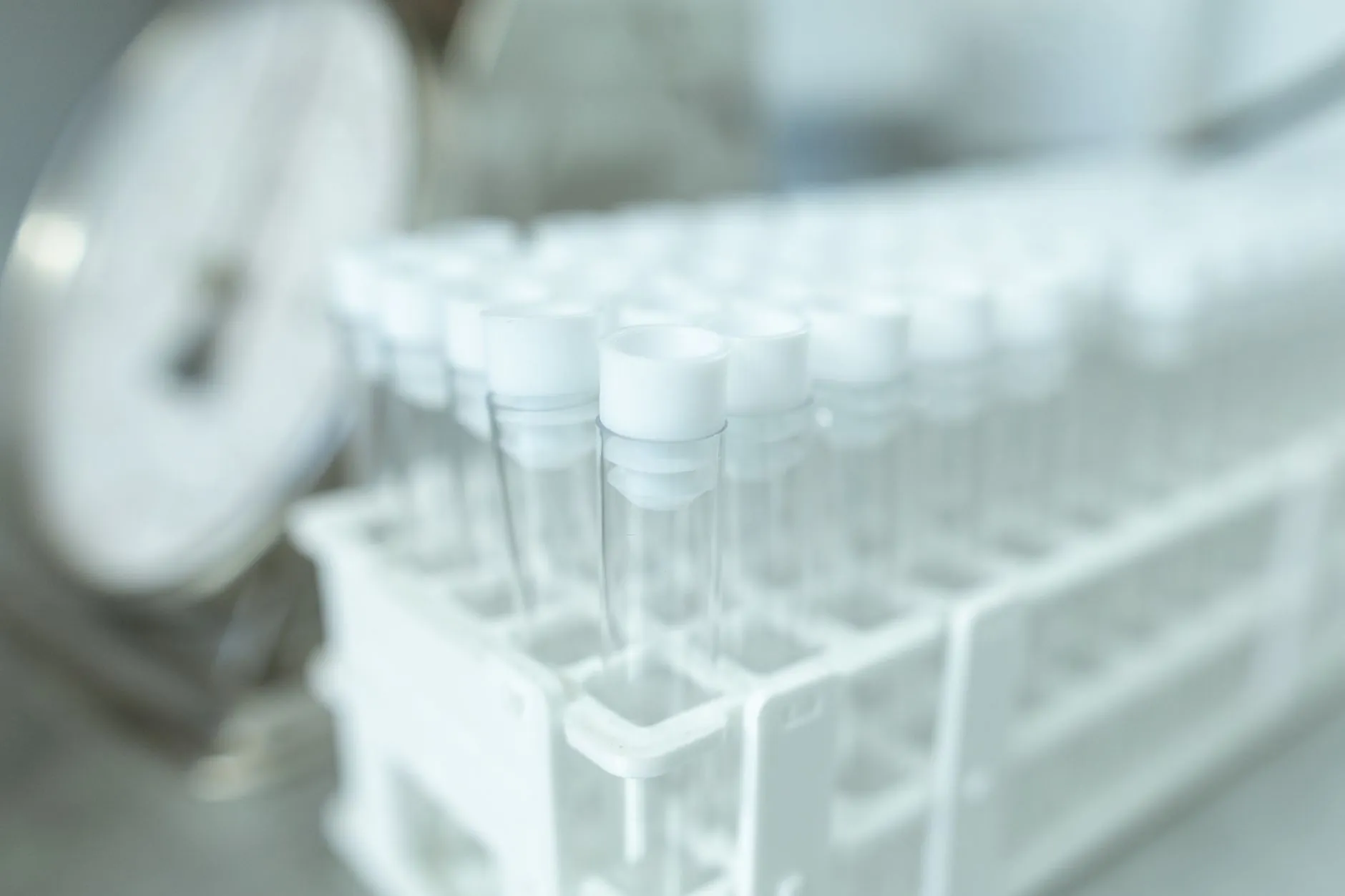科技咨询在中小企业技术创新中的实际应用与价值分析